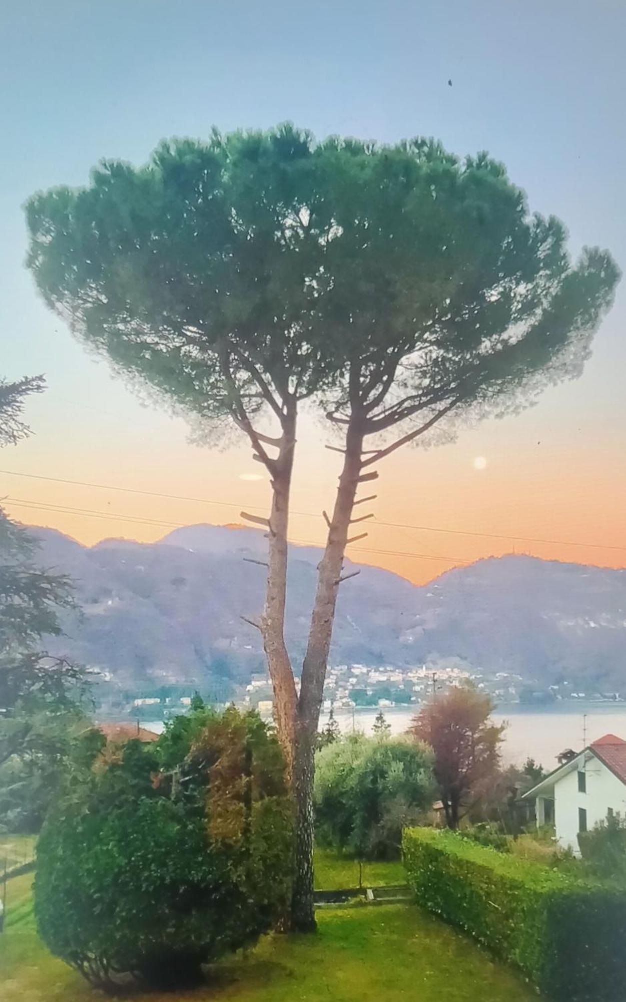 Villa Rosi เลียร์นา ภายนอก รูปภาพ